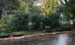 Фотография объекта