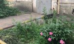 Фотография объекта