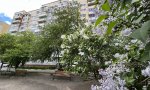 Фотография объекта