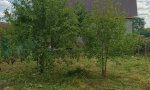 Фотография объекта