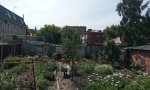 Фотография объекта