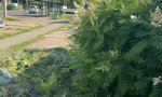 Фотография объекта