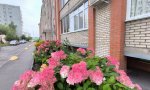 Фотография объекта