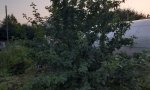Фотография объекта